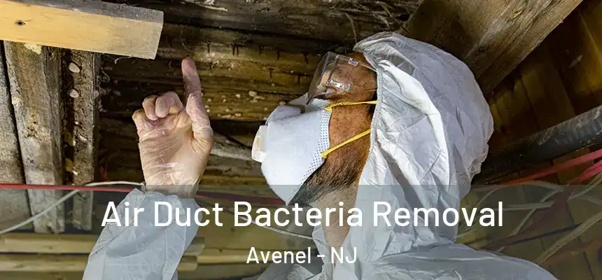  Air Duct Bacteria Removal Avenel - NJ