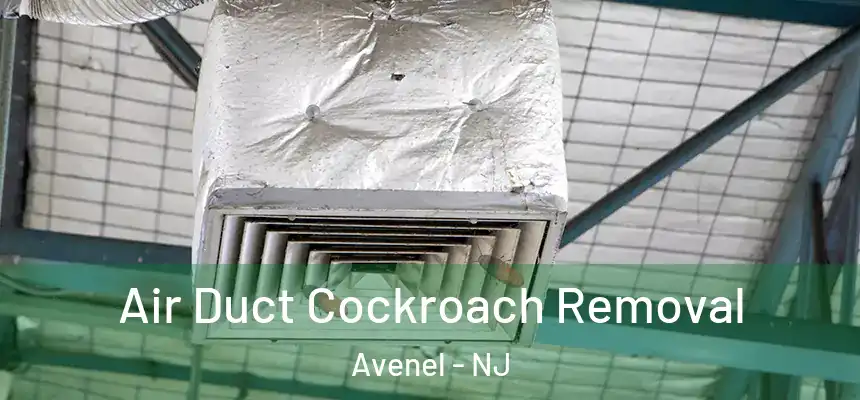  Air Duct Cockroach Removal Avenel - NJ