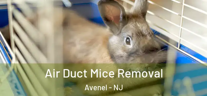  Air Duct Mice Removal Avenel - NJ
