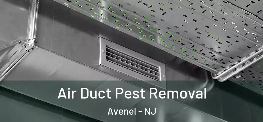  Air Duct Pest Removal Avenel - NJ