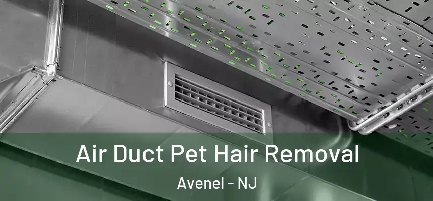  Air Duct Pet Hair Removal Avenel - NJ