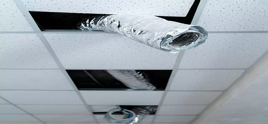 Our Air Duct Pet Hair Removal Services in Avenel, NJ