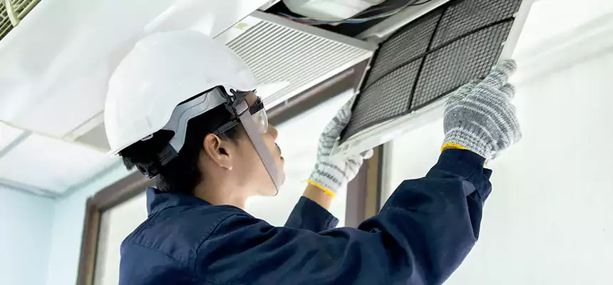 Our Mold & Mildew Removal from Air Ducts Services in Avenel, NJ