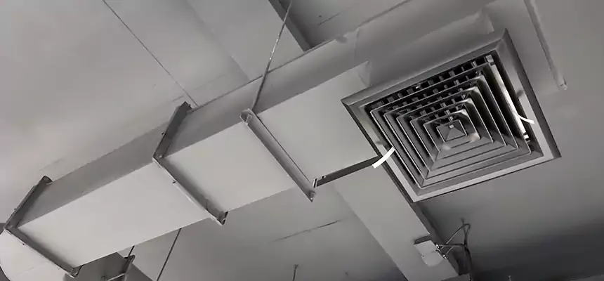 Our Pest Removal From Ducts Services in Avenel, NJ