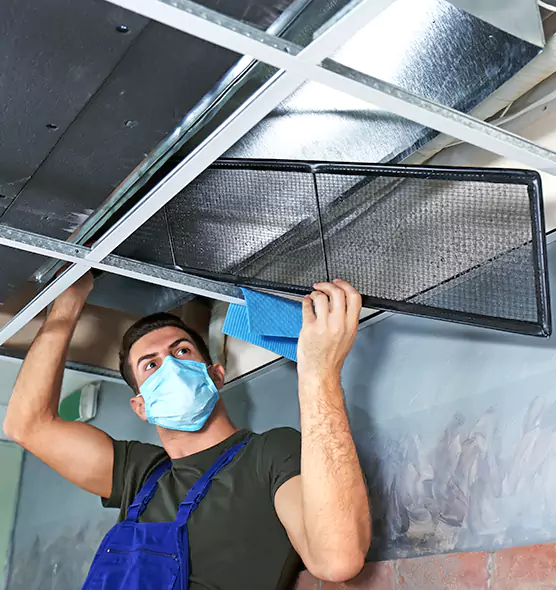 About Air Duct Bacteria Removal in Avenel