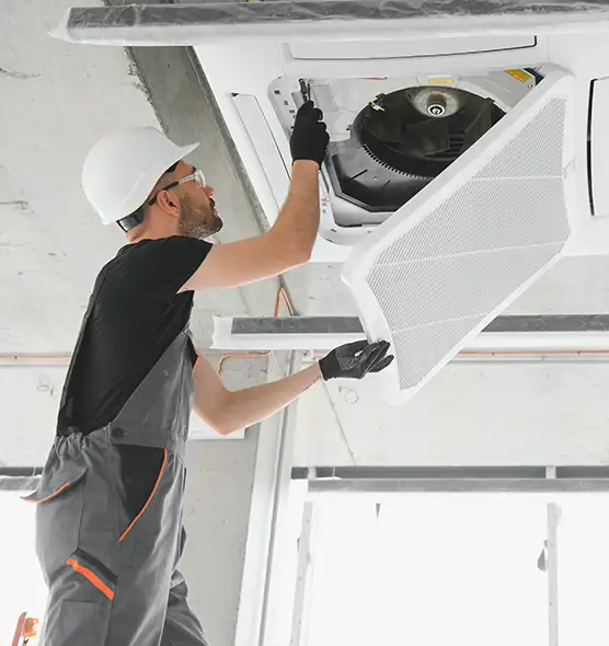 About Air Duct Rodent Removal in Avenel, NJ