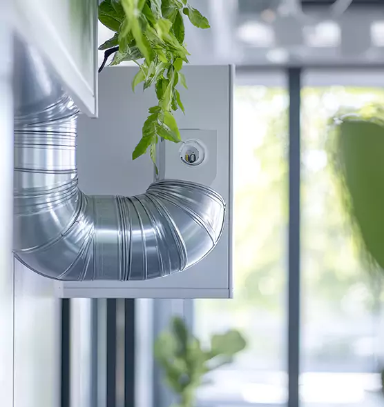 Professional Eco-Safe Dryer Vent Cleaning in Avenel, NJ