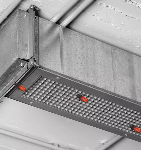 Affordable Insect Removal from Air Ducts in Avenel, NJ