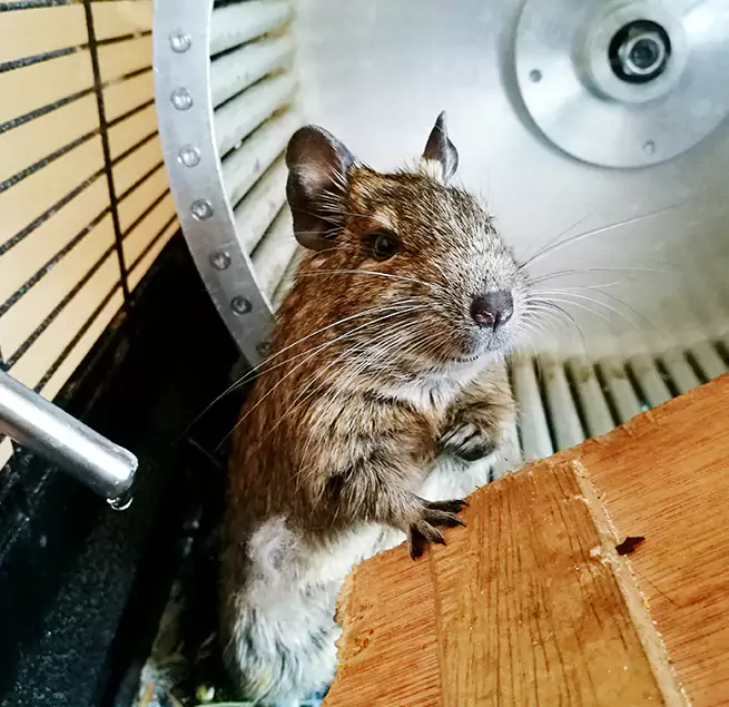 Why Homeowners & Businesses Trust Us Avenel, NJ